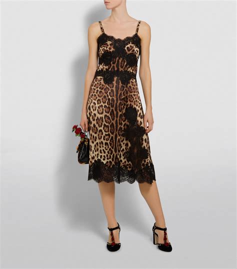 dolce and gabbana leopard print.